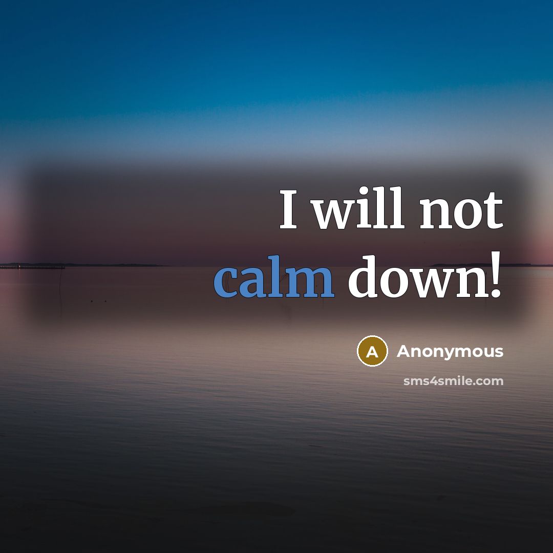 “I will not calm down!” quote by Anonymous