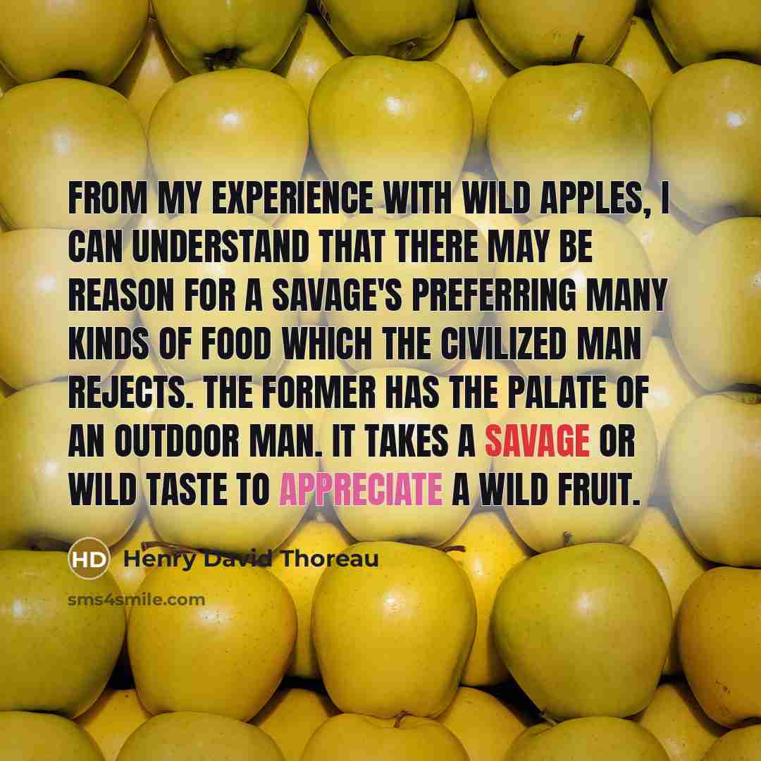 “From my experience with wild apples, I can understand that there may be reason for a savage's preferring many kinds of food which the civilized man rejects. The former has the palate of an outdoor man. It takes a savage or wild taste to appreciate a wild fruit.” quote by Henry David Thoreau