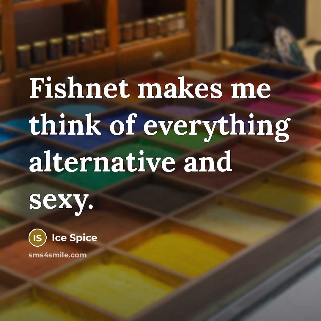 “Fishnet makes me think of everything alternative and sexy.” quote by Ice Spice