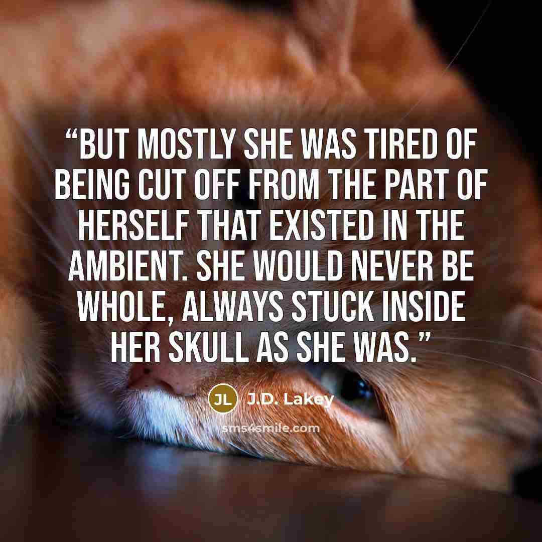 “But mostly she was tired of being cut off from the part of herself that existed in the ambient. She would never be whole, always stuck inside her skull as she was.” quote by J.D. Lakey