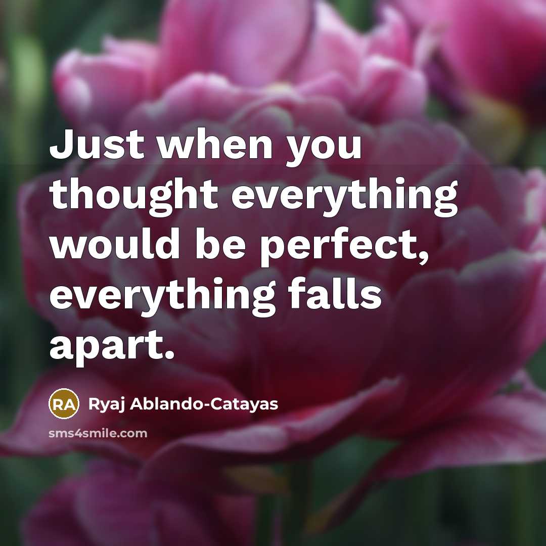 “Just when you thought everything would be perfect, everything falls apart.” quote by Ryaj Ablando-Catayas