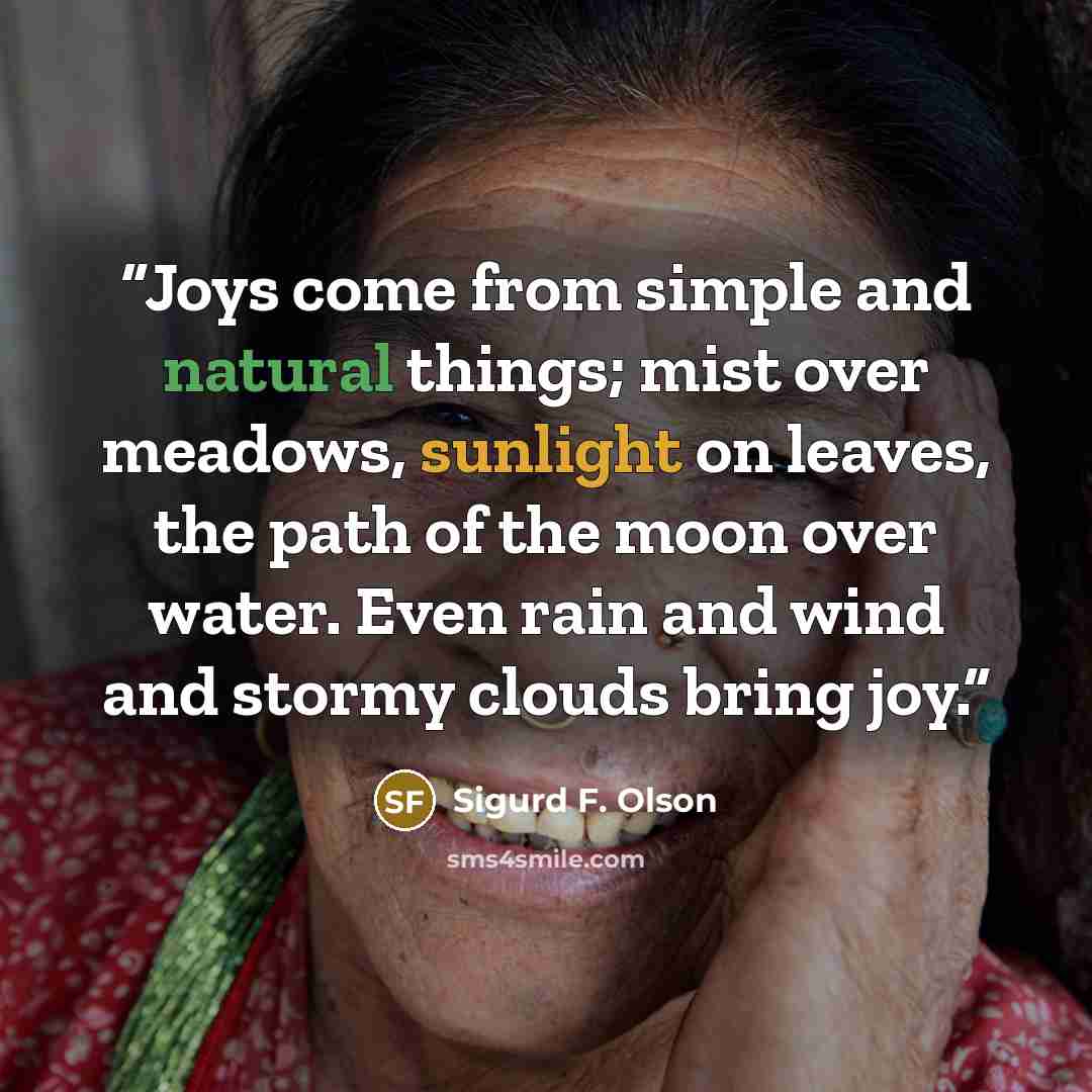 “Joys come from simple and natural things; mist over meadows, sunlight on leaves, the path of the moon over water. Even rain and wind and stormy clouds bring joy.” quote by Sigurd F. Olson