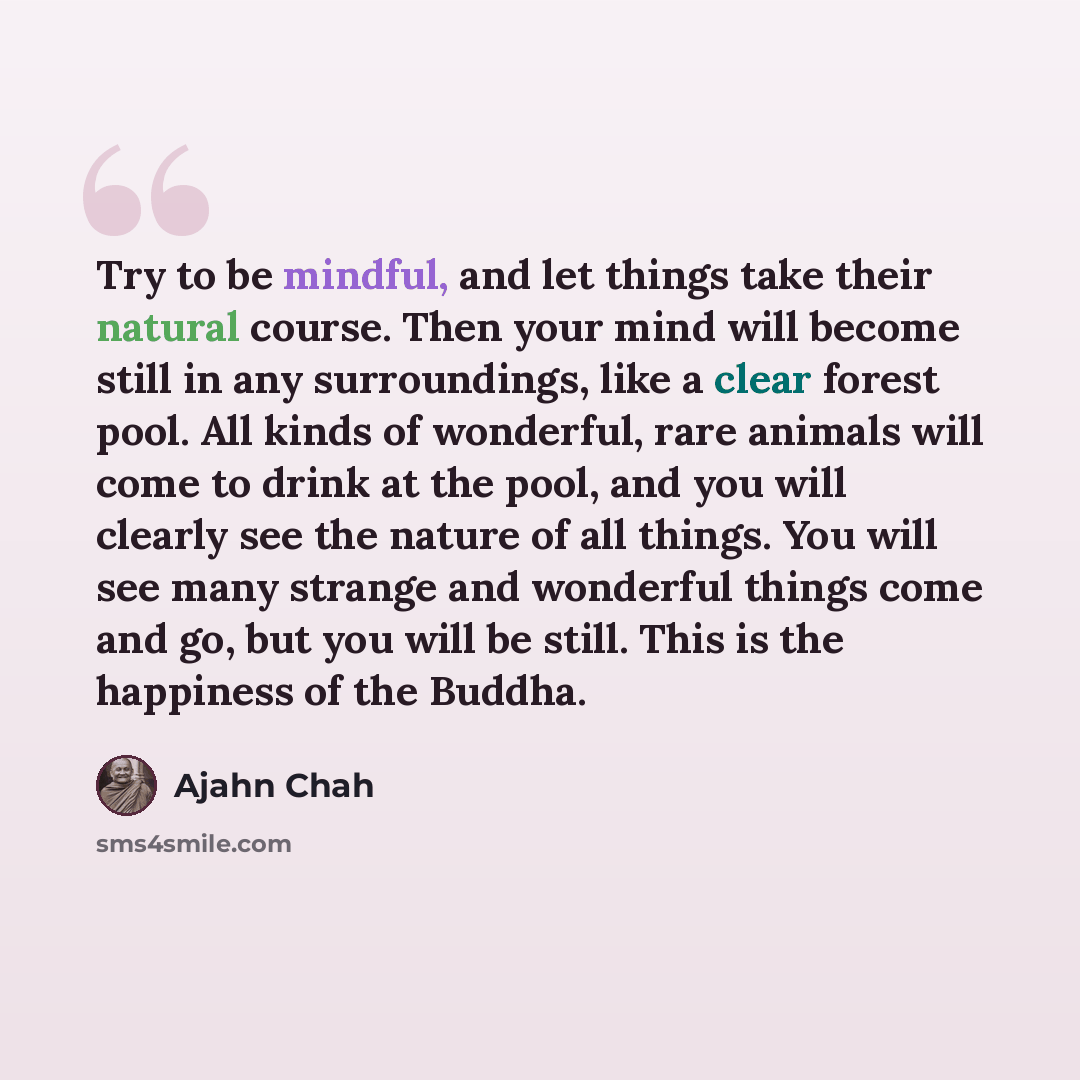 “Try to be mindful, and let things take their natural course. Then your mind will become still in any surroundings, like a clear forest pool. All kinds of wonderful, rare animals will come to drink at the pool, and you will clearly see the nature of all things. You will see many strange and…” quote by Ajahn Chah