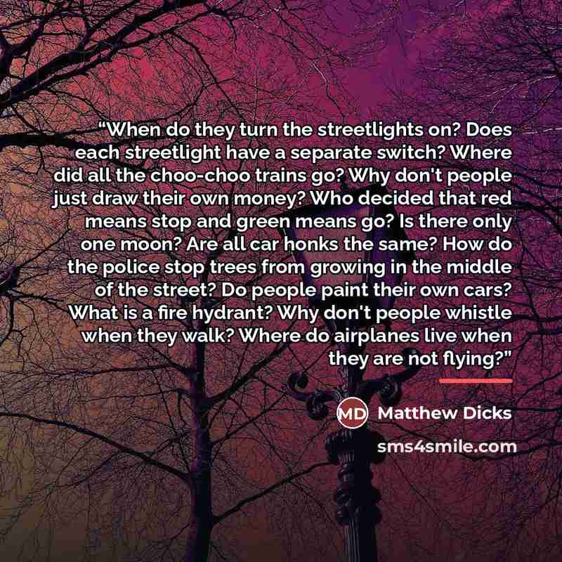“When do they turn the streetlights on? Does each streetlight have a separate switch? Where did all the choo-choo trains go? Why don't people just draw their own money? Who decided that red means stop and green means go? Is there only one moon? Are all car honks the same? How do the police stop…” quote by Matthew Dicks