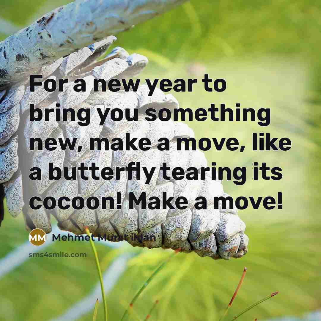 “For a new year to bring you something new, make a move, like a butterfly tearing its cocoon! Make a move!” quote by Mehmet Murat Ildan