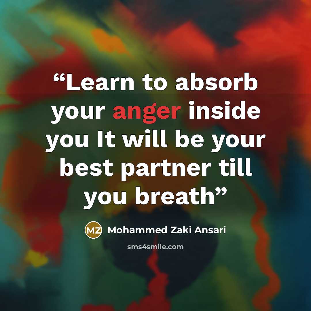 “Learn to absorb your anger inside you It will be your best partner till you breath” quote by Mohammed Zaki Ansari