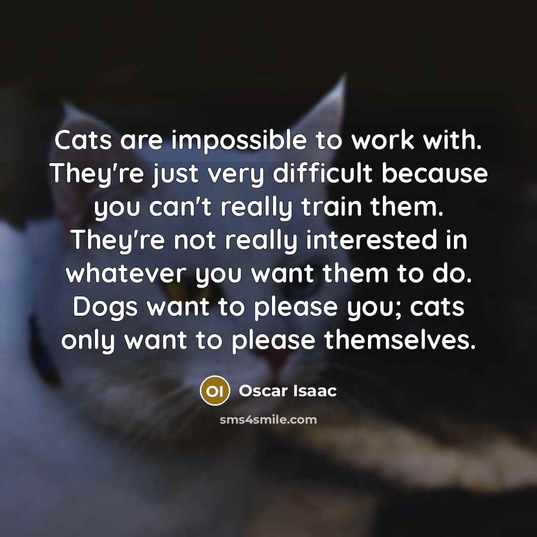 “Cats are impossible to work with. They're just very difficult because you can't really train them. They're not really interested in whatever you want them to do. Dogs want to please you; cats only want to please themselves.” quote by Oscar Isaac