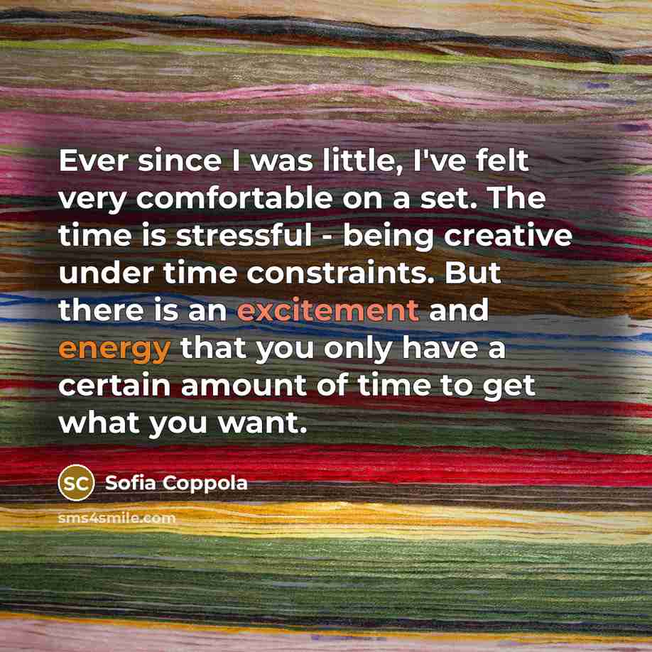 “Ever since I was little, I've felt very comfortable on a set. The time is stressful - being creative under time constraints. But there is an excitement and energy that you only have a certain amount of time to get what you want.” quote by Sofia Coppola