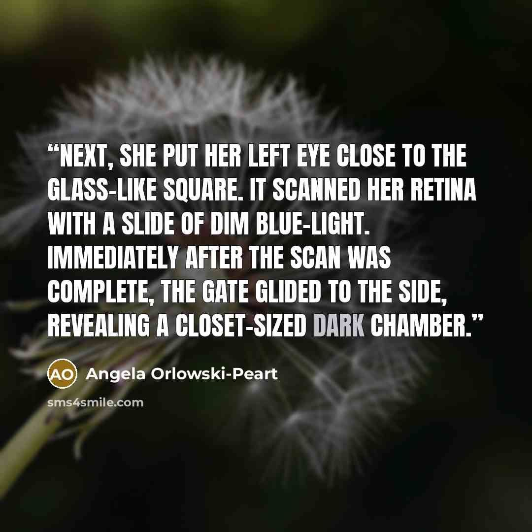 “Next, she put her left eye close to the glass-like square. It scanned her retina with a slide of dim blue-light. Immediately after the scan was complete, the gate glided to the side, revealing a closet-sized dark chamber.” quote by Angela Orlowski-Peart