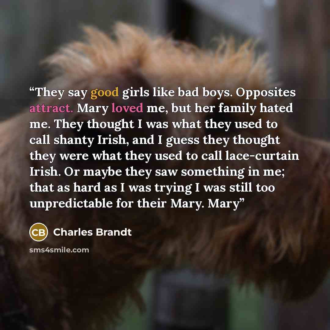 “They say good girls like bad boys. Opposites attract. Mary loved me, but her family hated me. They thought I was what they used to call shanty Irish, and I guess they thought they were what they used to call lace-curtain Irish. Or maybe they saw something in me; that as hard as I was trying I was…” quote by Charles Brandt