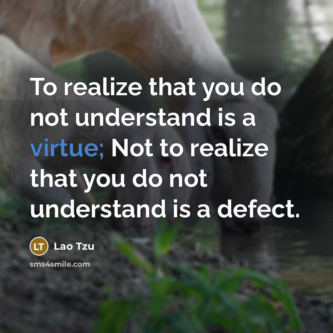 “To realize that you do not understand is a virtue; Not to realize that you do not understand is a defect.” quote by Lao Tzu