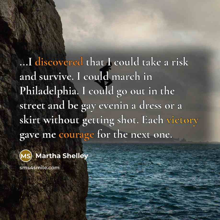 “...I discovered that I could take a risk and survive. I could march in Philadelphia. I could go out in the street and be gay evenin a dress or a skirt without getting shot. Each victory gave me courage for the next one.” quote by Martha Shelley