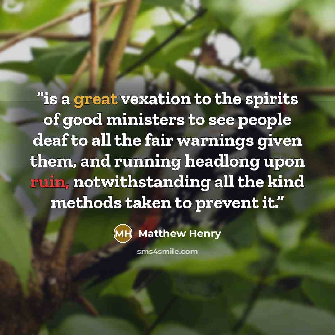 “is a great vexation to the spirits of good ministers to see people deaf to all the fair warnings given them, and running headlong upon ruin, notwithstanding all the kind methods taken to prevent it.” quote by Matthew Henry