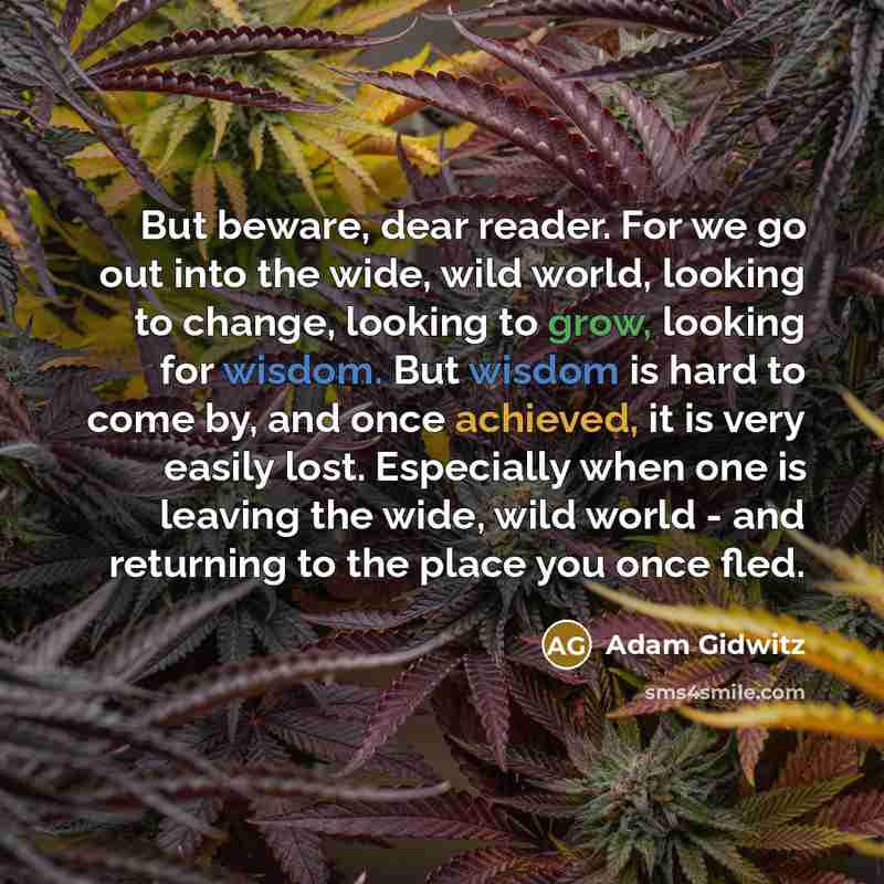 “But beware, dear reader. For we go out into the wide, wild world, looking to change, looking to grow, looking for wisdom. But wisdom is hard to come by, and once achieved, it is very easily lost. Especially when one is leaving the wide, wild world - and returning to the place you once fled.” quote by Adam Gidwitz