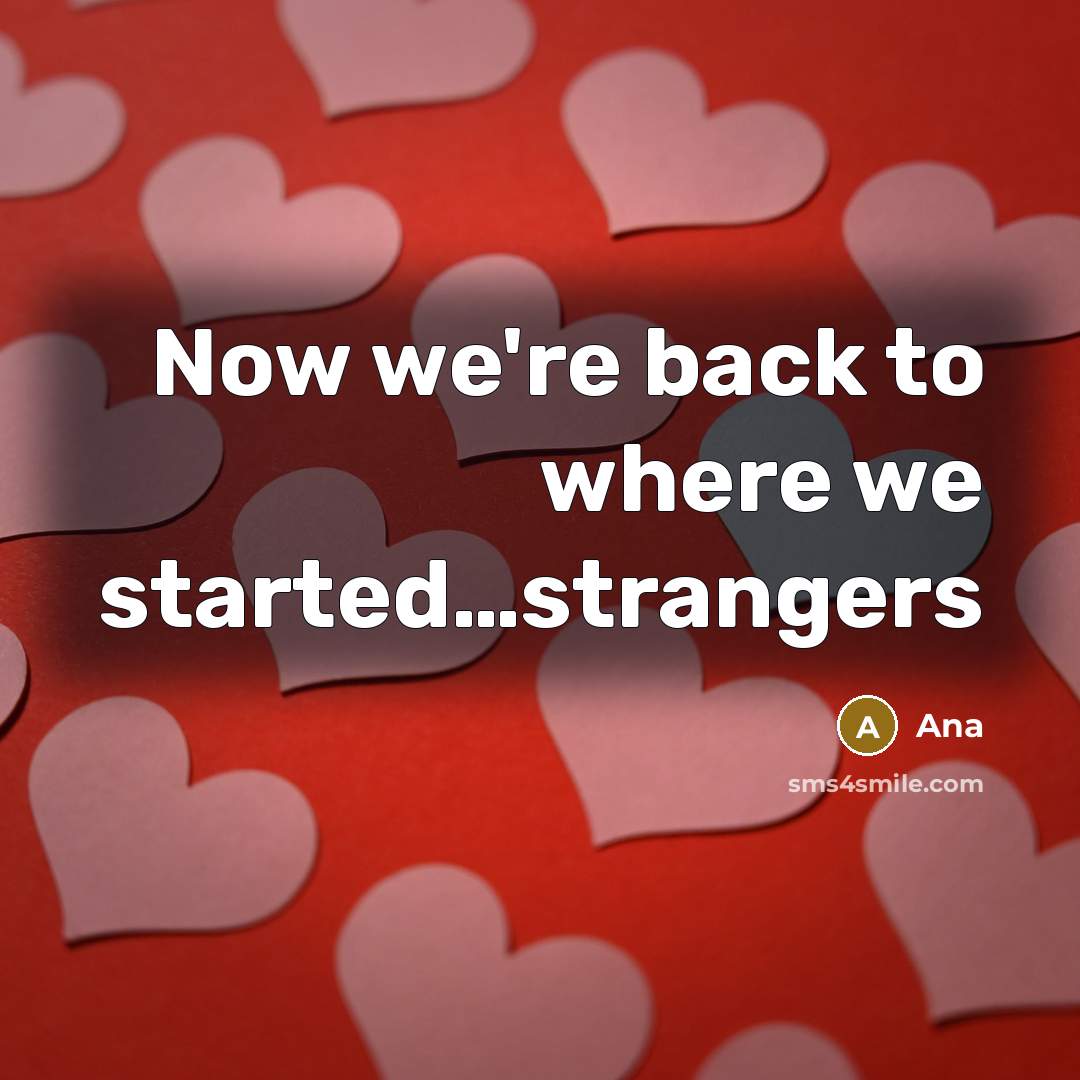 “Now we're back to where we started…strangers” quote by Ana