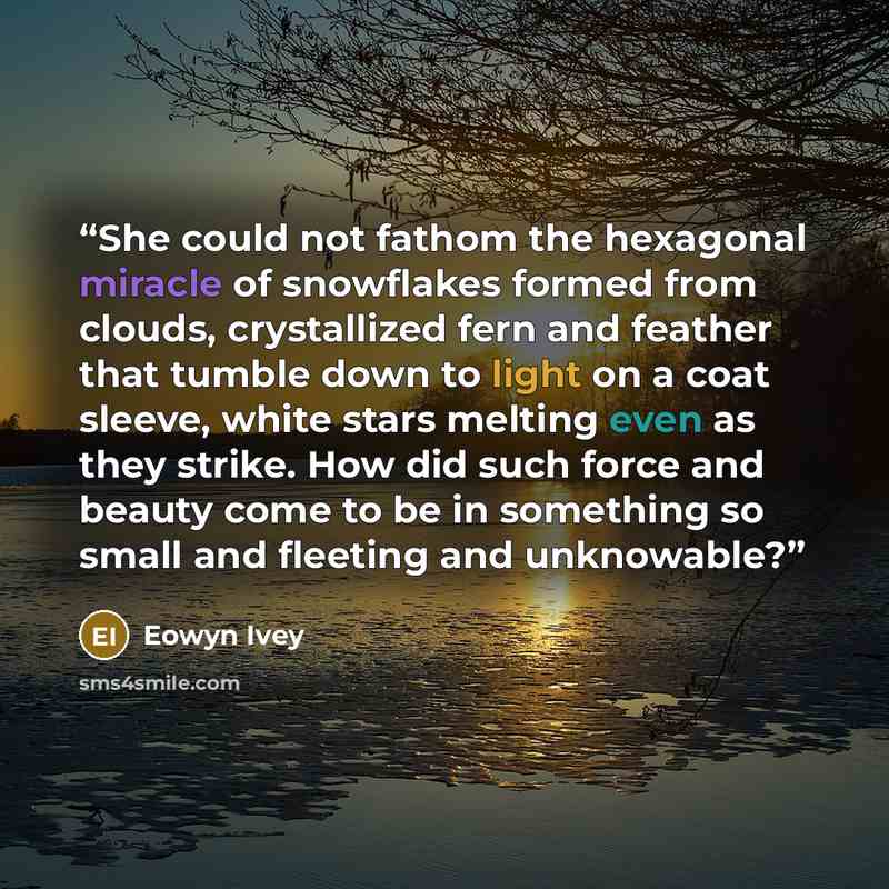 “She could not fathom the hexagonal miracle of snowflakes formed from clouds, crystallized fern and feather that tumble down to light on a coat sleeve, white stars melting even as they strike. How did such force and beauty come to be in something so small and fleeting and unknowable?” quote by Eowyn Ivey