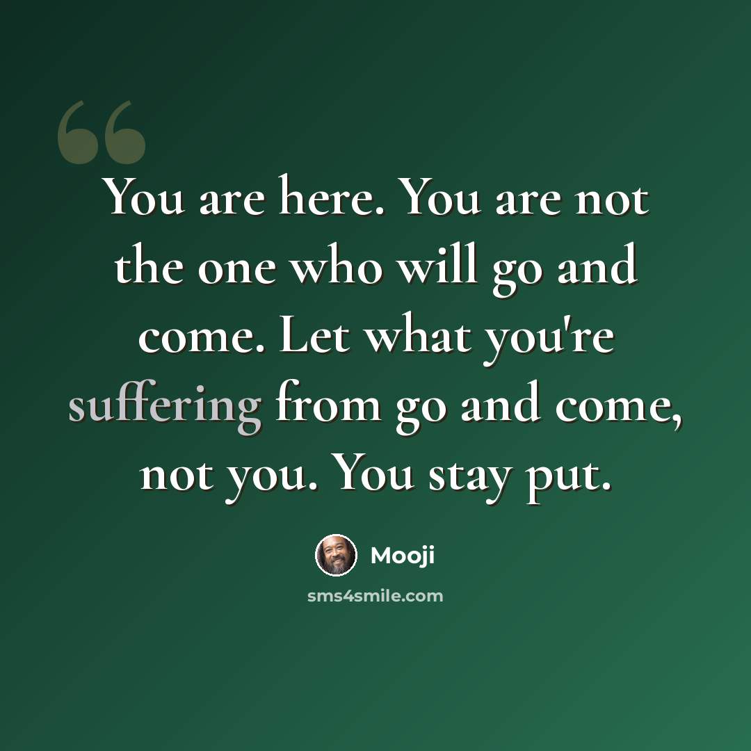 “You are here. You are not the one who will go and come. Let what you're suffering from go and come, not you. You stay put.” quote by Mooji