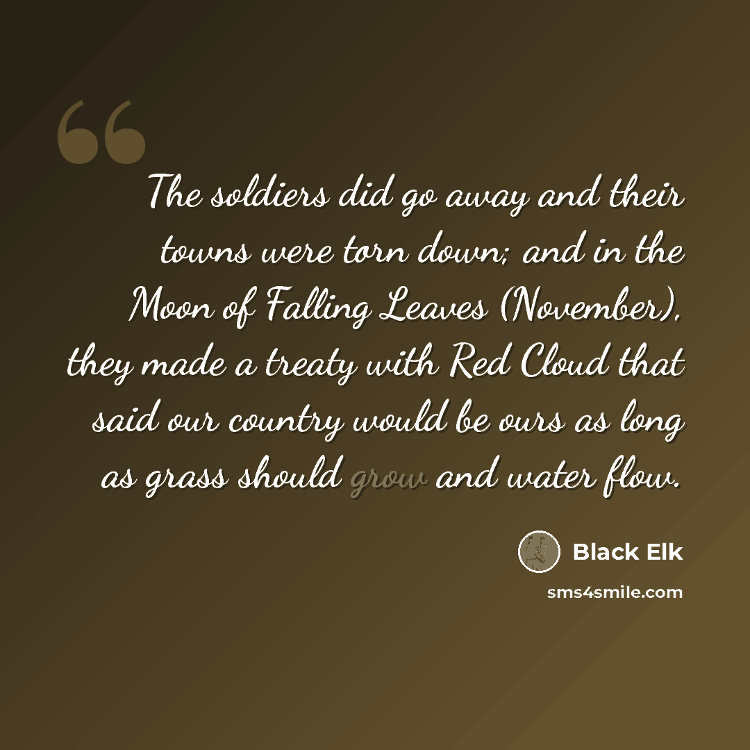 “The soldiers did go away and their towns were torn down; and in the Moon of Falling Leaves (November), they made a treaty with Red Cloud that said our country would be ours as long as grass should grow and water flow.” quote by Black Elk