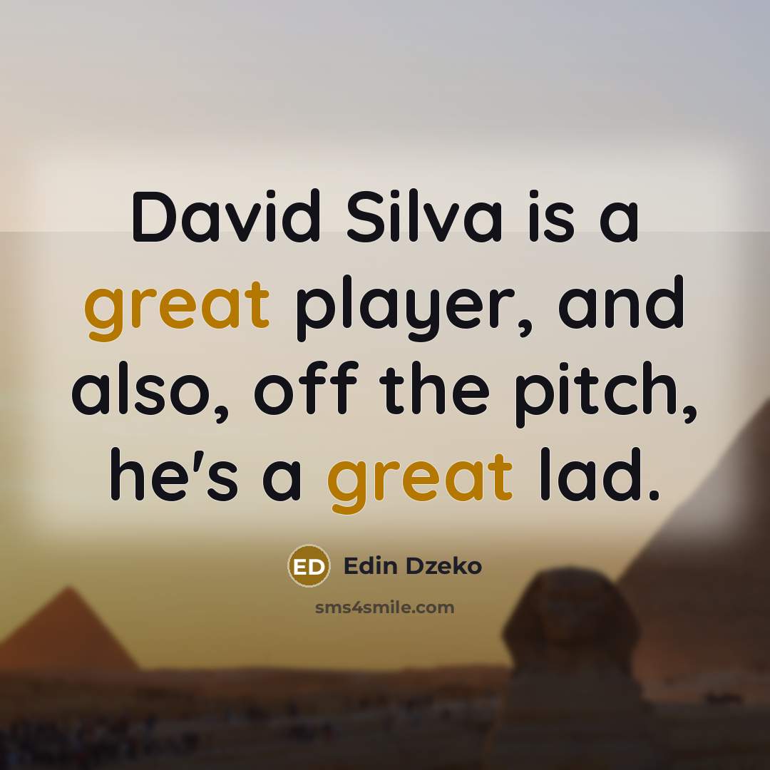 “David Silva is a great player, and also, off the pitch, he's a great lad.” quote by Edin Dzeko