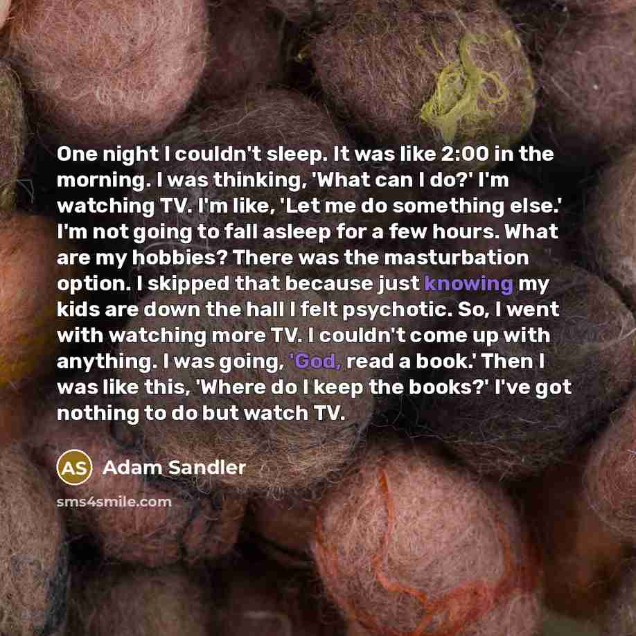 “One night I couldn't sleep. It was like 2:00 in the morning. I was thinking, 'What can I do?' I'm watching TV. I'm like, 'Let me do something else.' I'm not going to fall asleep for a few hours. What are my hobbies? There was the masturbation option. I skipped that because just knowing my kids are…” quote by Adam Sandler