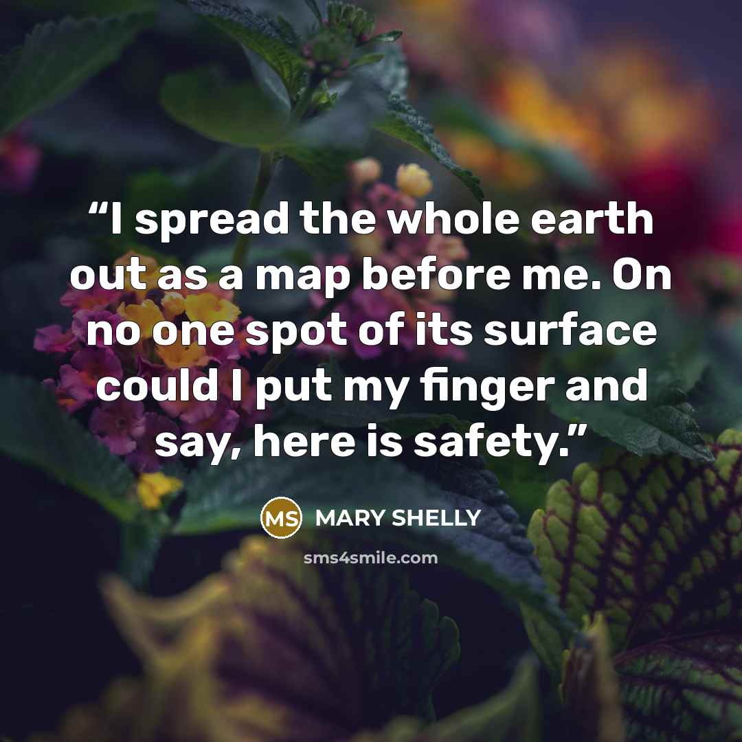 “I spread the whole earth out as a map before me. On no one spot of its surface could I put my finger and say, here is safety.” quote by Mary Shelly