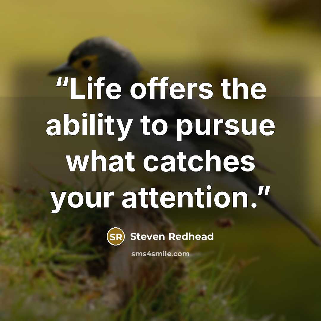 “Life offers the ability to pursue what catches your attention.” quote by Steven Redhead