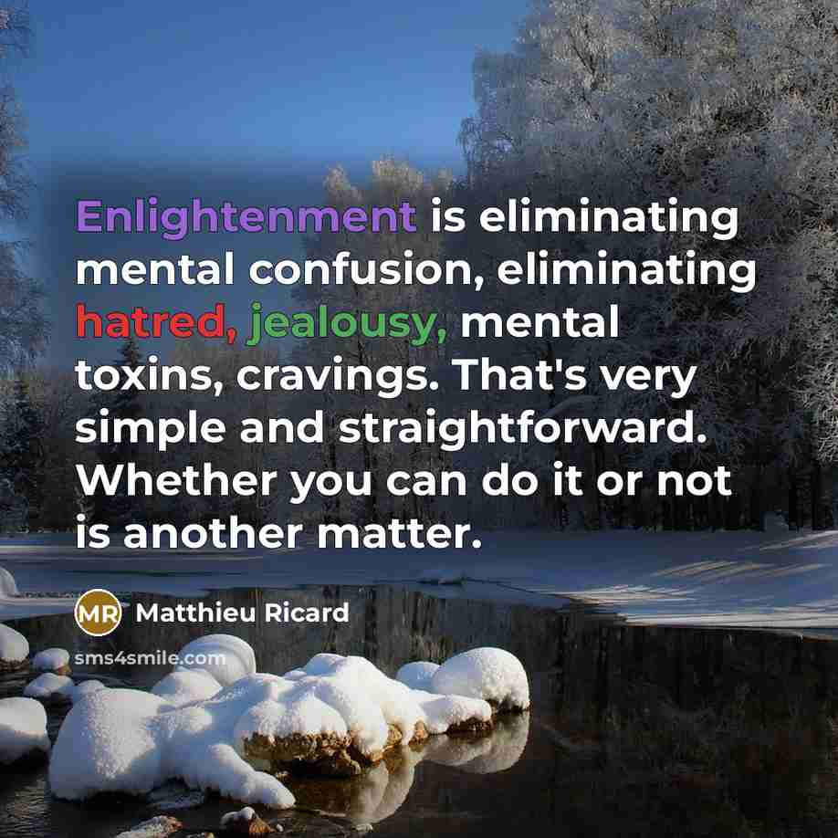 “Enlightenment is eliminating mental confusion, eliminating hatred, jealousy, mental toxins, cravings. That's very simple and straightforward. Whether you can do it or not is another matter.” quote by Matthieu Ricard