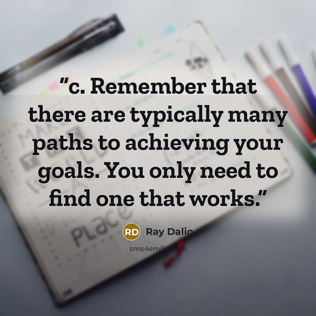 “c. Remember that there are typically many paths to achieving your goals. You only need to find one that works.” quote by Ray Dalio