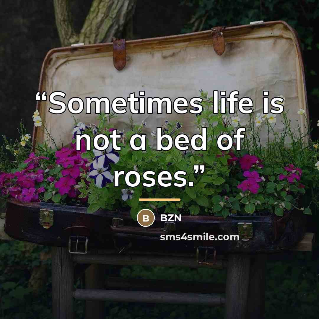 “Sometimes life is not a bed of roses.” quote by Bzn