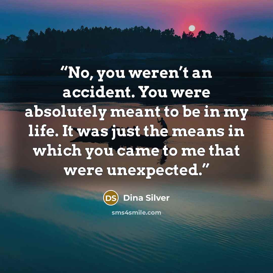 “No, you weren’t an accident. You were absolutely meant to be in my life. It was just the means in which you came to me that were unexpected.” quote by Dina Silver