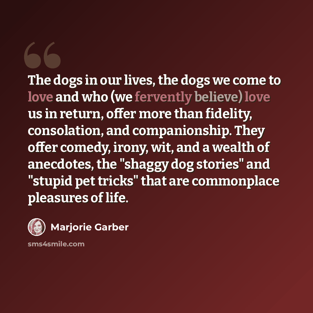 “The dogs in our lives, the dogs we come to love and who (we fervently believe) love us in return, offer more than fidelity, consolation, and companionship. They offer comedy, irony, wit, and a wealth of anecdotes, the "shaggy dog stories" and "stupid pet tricks" that are commonplace pleasures of…” quote by Marjorie Garber
