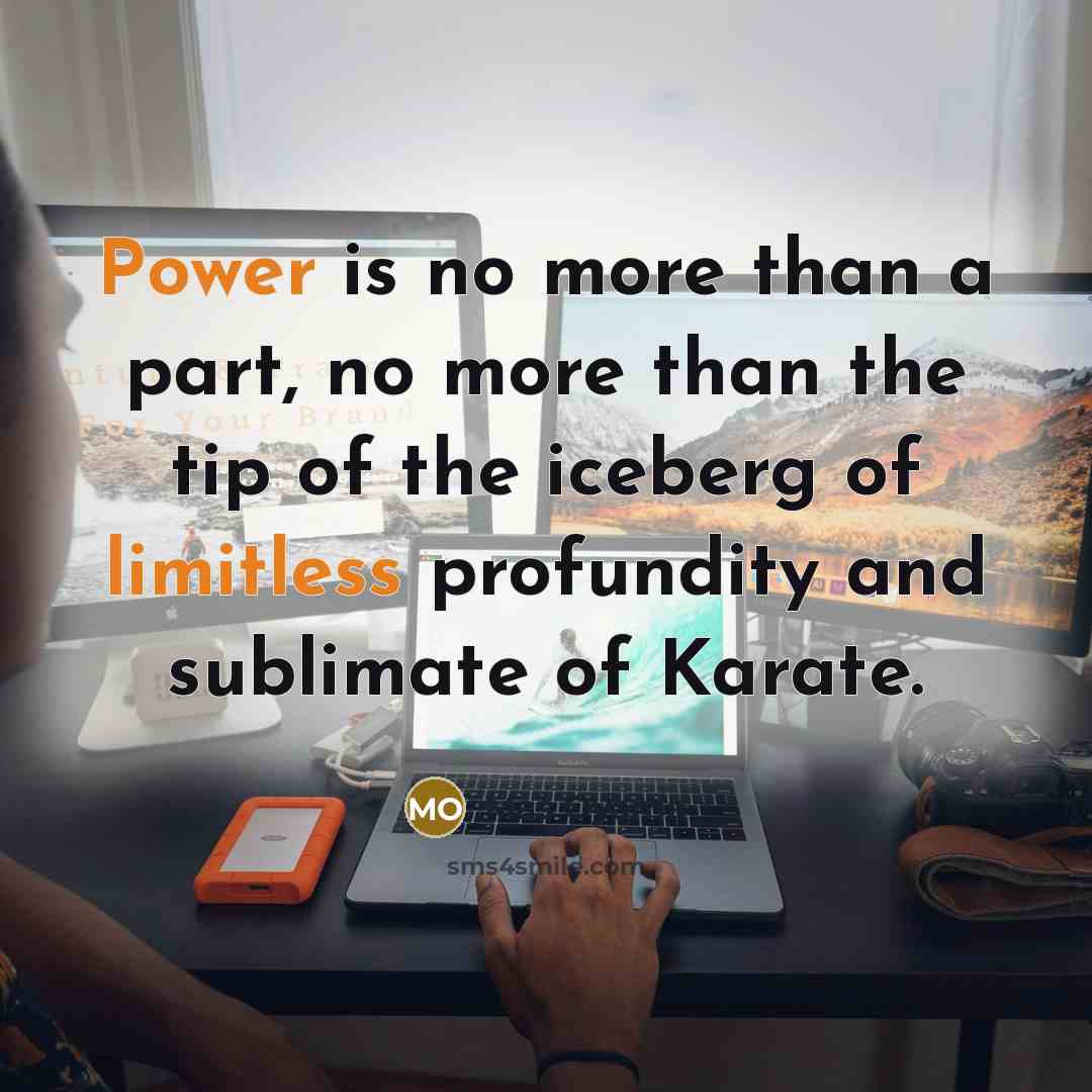 “Power is no more than a part, no more than the tip of the iceberg of limitless profundity and sublimate of Karate.” quote by Mas Oyama