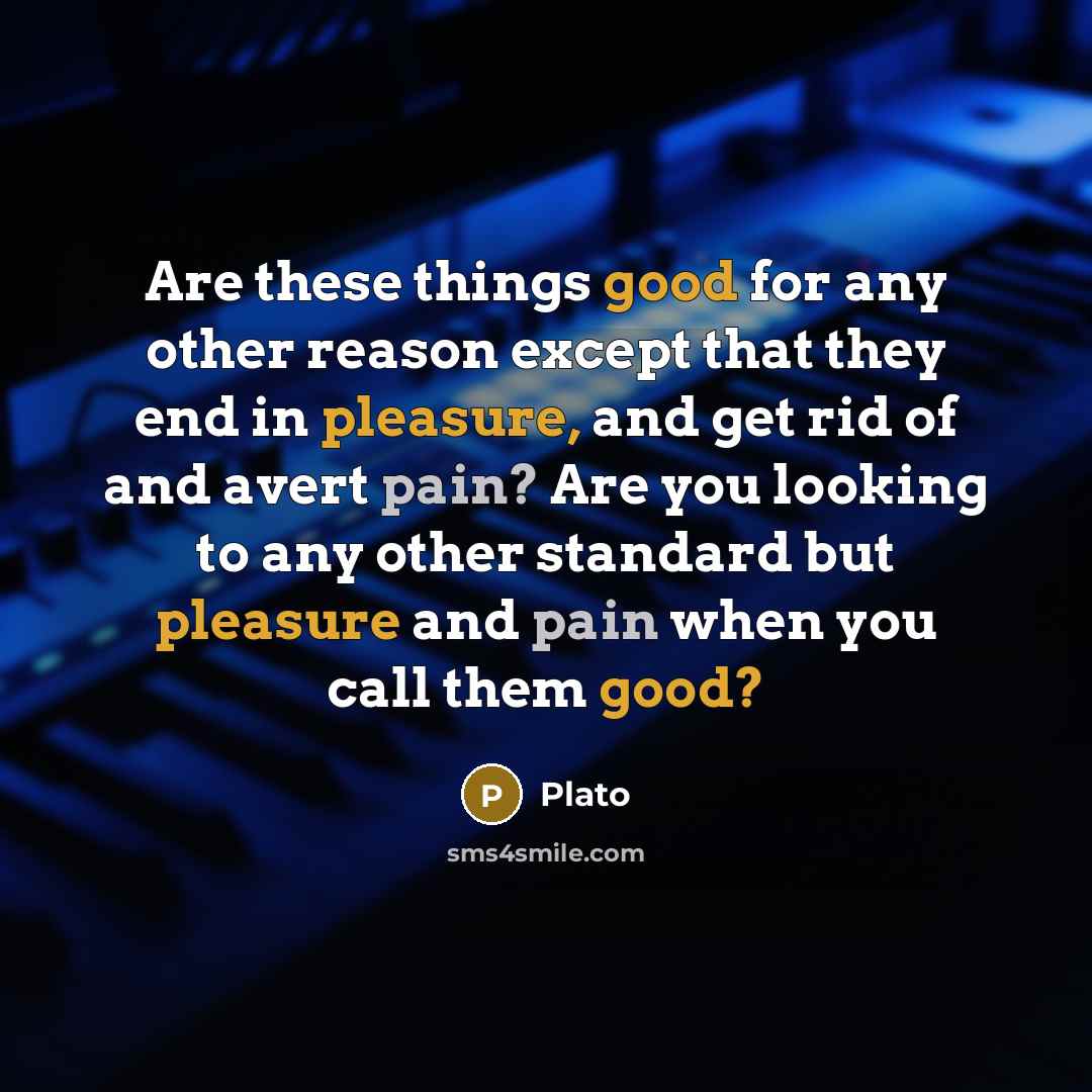 “Are these things good for any other reason except that they end in pleasure, and get rid of and avert pain? Are you looking to any other standard but pleasure and pain when you call them good?” quote by Plato