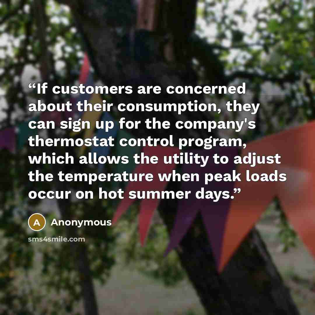 “If customers are concerned about their consumption, they can sign up for the company's thermostat control program, which allows the utility to adjust the temperature when peak loads occur on hot summer days.” quote by Anonymous