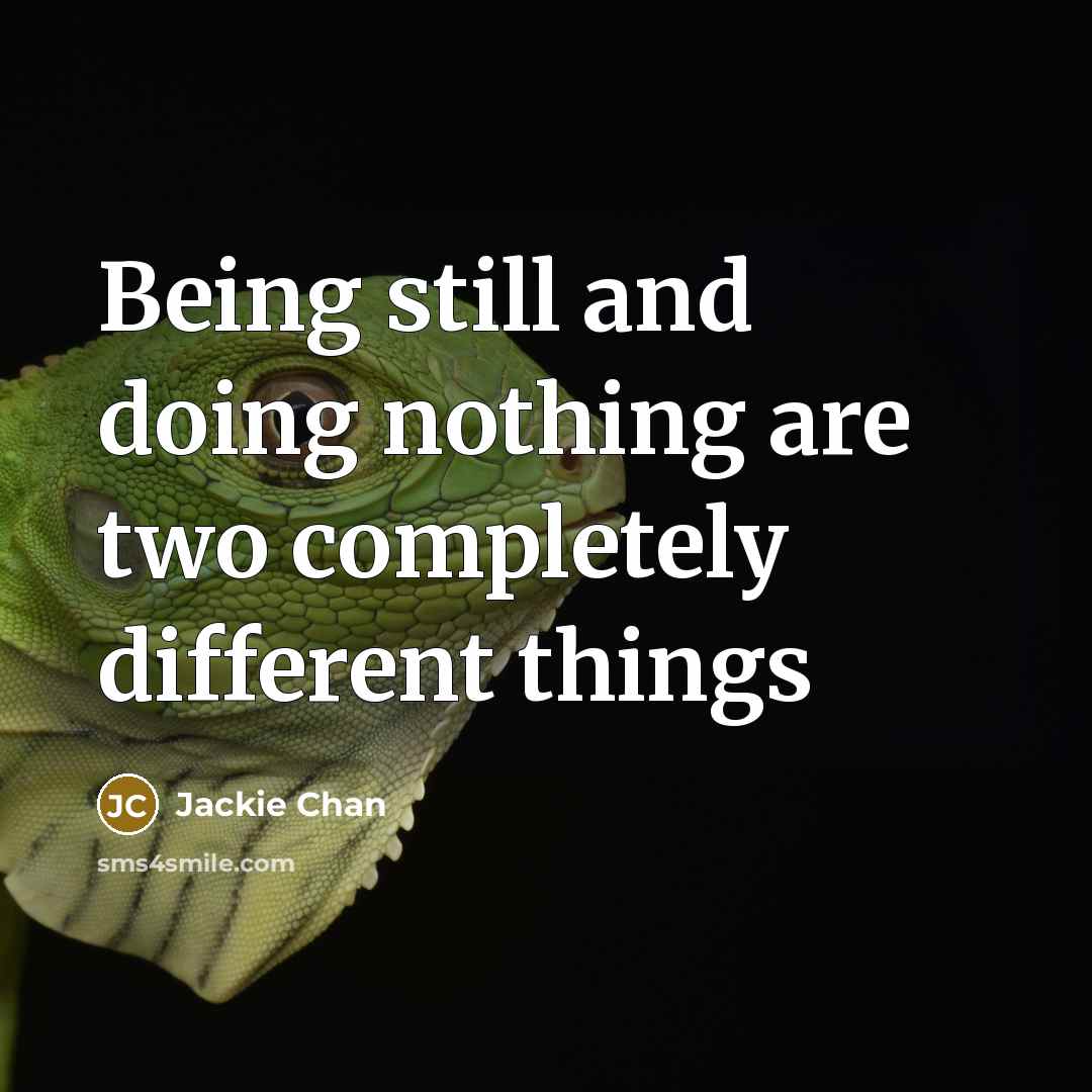 “Being still and doing nothing are two completely different things” quote by Jackie Chan