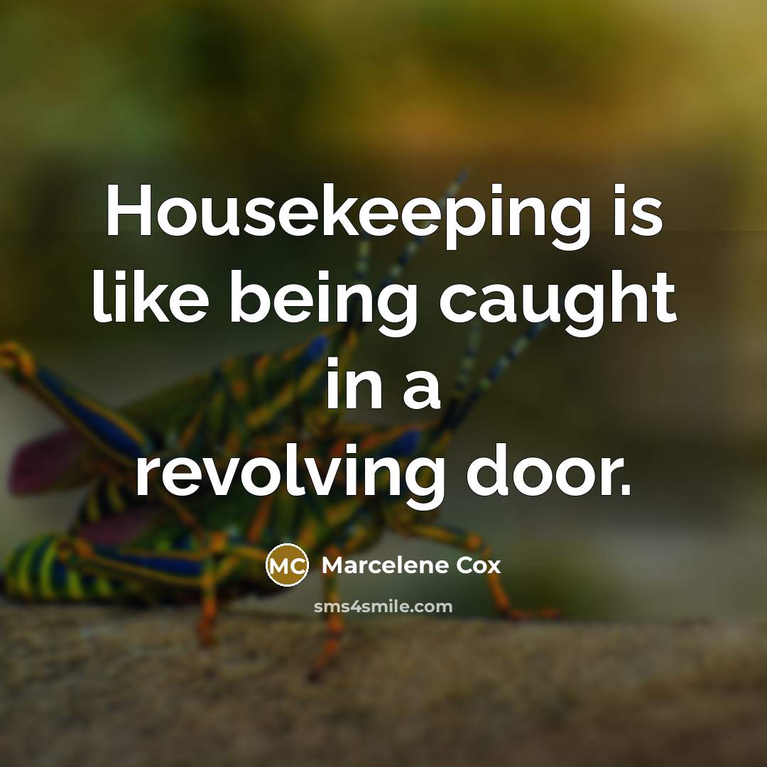 “Housekeeping is like being caught in a revolving door.” quote by Marcelene Cox