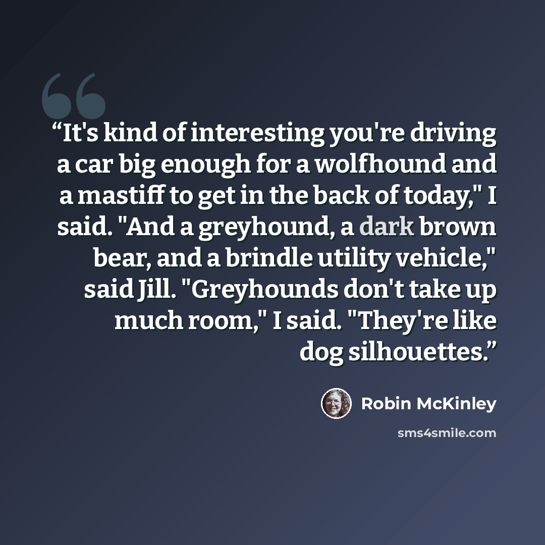 “It's kind of interesting you're driving a car big enough for a wolfhound and a mastiff to get in the back of today," I said. "And a greyhound, a dark brown bear, and a brindle utility vehicle," said Jill. "Greyhounds don't take up much room," I said. "They're like dog silhouettes.” quote by Robin McKinley