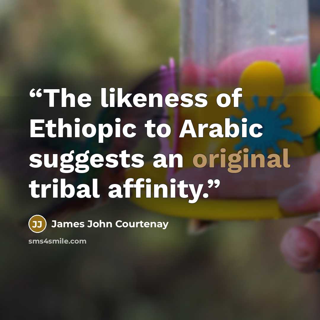 “The likeness of Ethiopic to Arabic suggests an original tribal affinity.” quote by James John Courtenay
