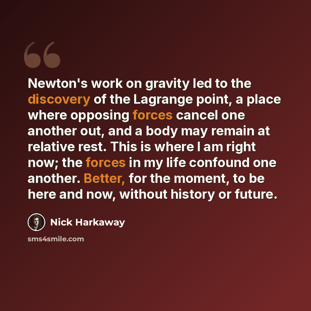 “Newton's work on gravity led to the discovery of the Lagrange point, a place where opposing forces cancel one another out, and a body may remain at relative rest. This is where I am right now; the forces in my life confound one another. Better, for the moment, to be here and now, without history…” quote by Nick Harkaway