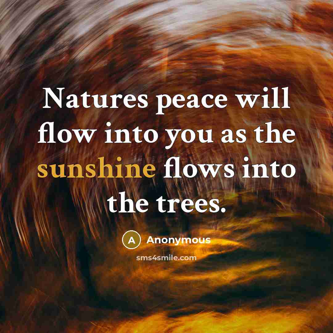 “Natures peace will flow into you as the sunshine flows into the trees.” quote by Anonymous