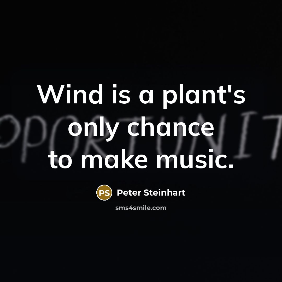 “Wind is a plant's only chance to make music.” quote by Peter Steinhart