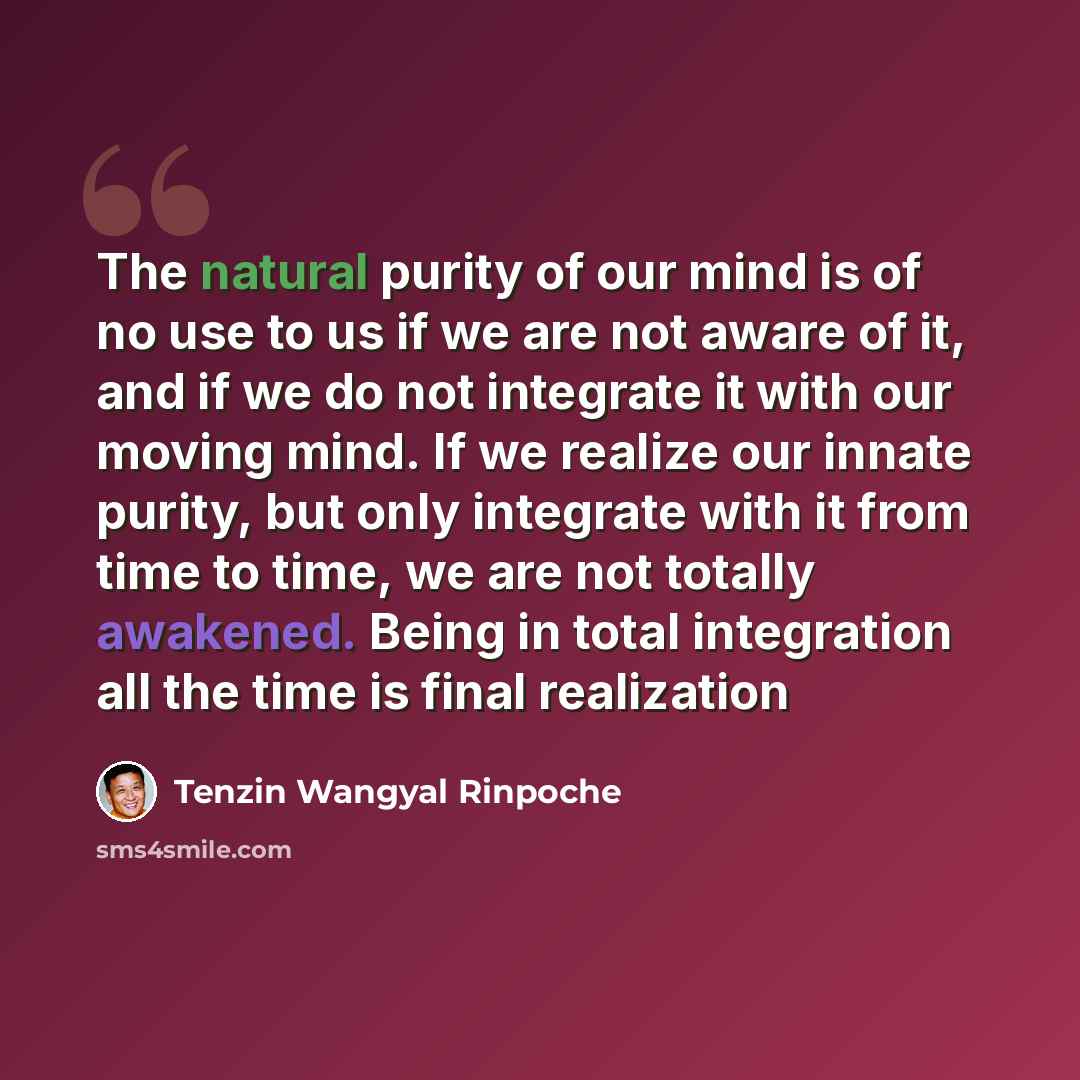 “The natural purity of our mind is of no use to us if we are not aware of it, and if we do not integrate it with our moving mind. If we realize our innate purity, but only integrate with it from time to time, we are not totally awakened. Being in total integration all the time is final realization” quote by Tenzin Wangyal Rinpoche