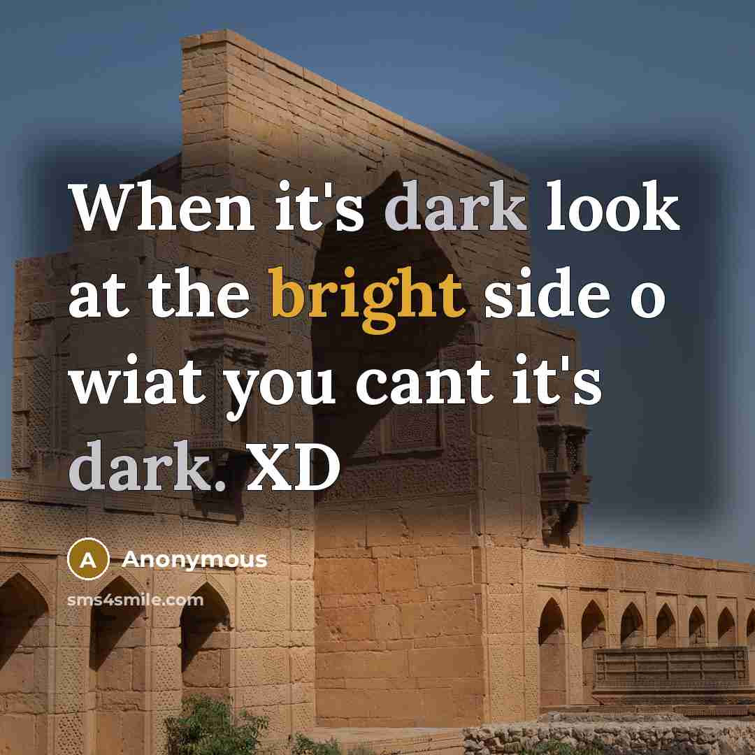 “When it's dark look at the bright side o wiat you cant it's dark. XD” quote by Anonymous