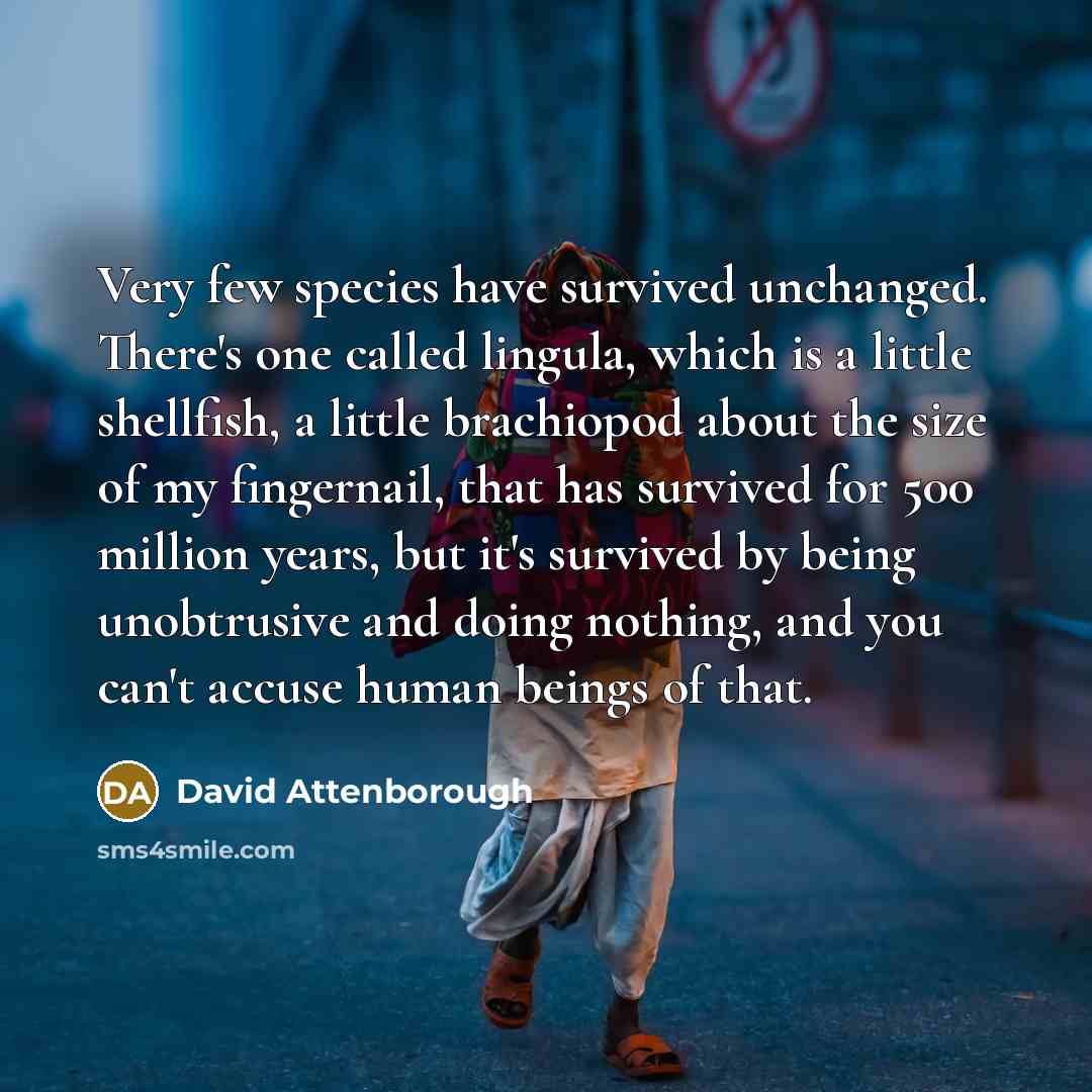 “Very few species have survived unchanged. There's one called lingula, which is a little shellfish, a little brachiopod about the size of my fingernail, that has survived for 500 million years, but it's survived by being unobtrusive and doing nothing, and you can't accuse human beings of that.” quote by David Attenborough