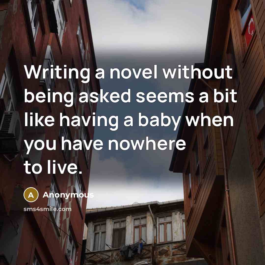“Writing a novel without being asked seems a bit like having a baby when you have nowhere to live.” quote by Anonymous