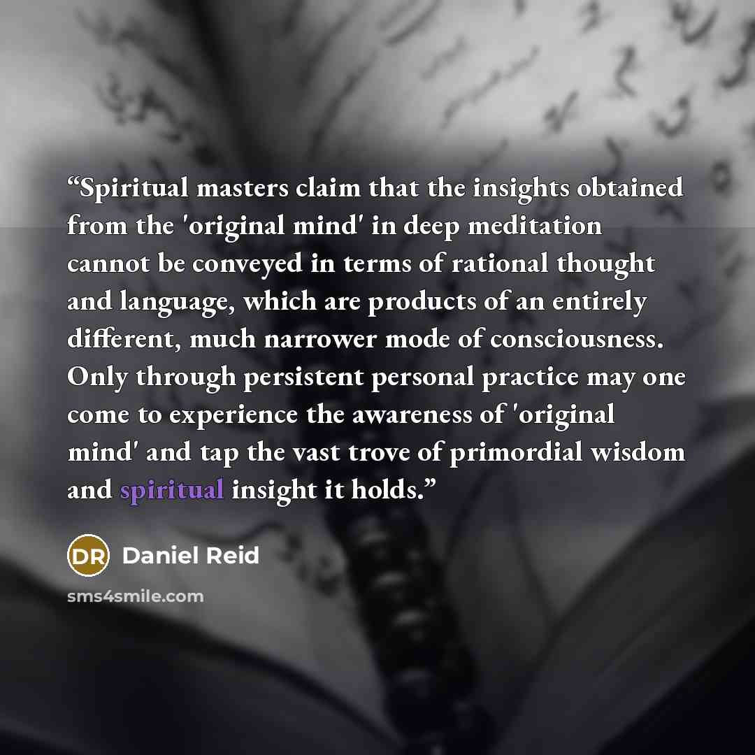 “Spiritual masters claim that the insights obtained from the 'original mind' in deep meditation cannot be conveyed in terms of rational thought and language, which are products of an entirely different, much narrower mode of consciousness. Only through persistent personal practice may one come to…” quote by Daniel Reid