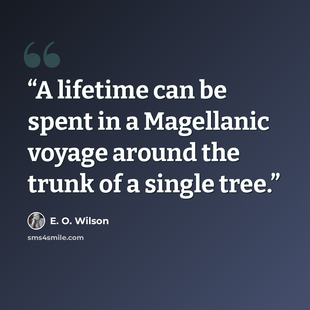 “A lifetime can be spent in a Magellanic voyage around the trunk of a single tree.” quote by E. O. Wilson
