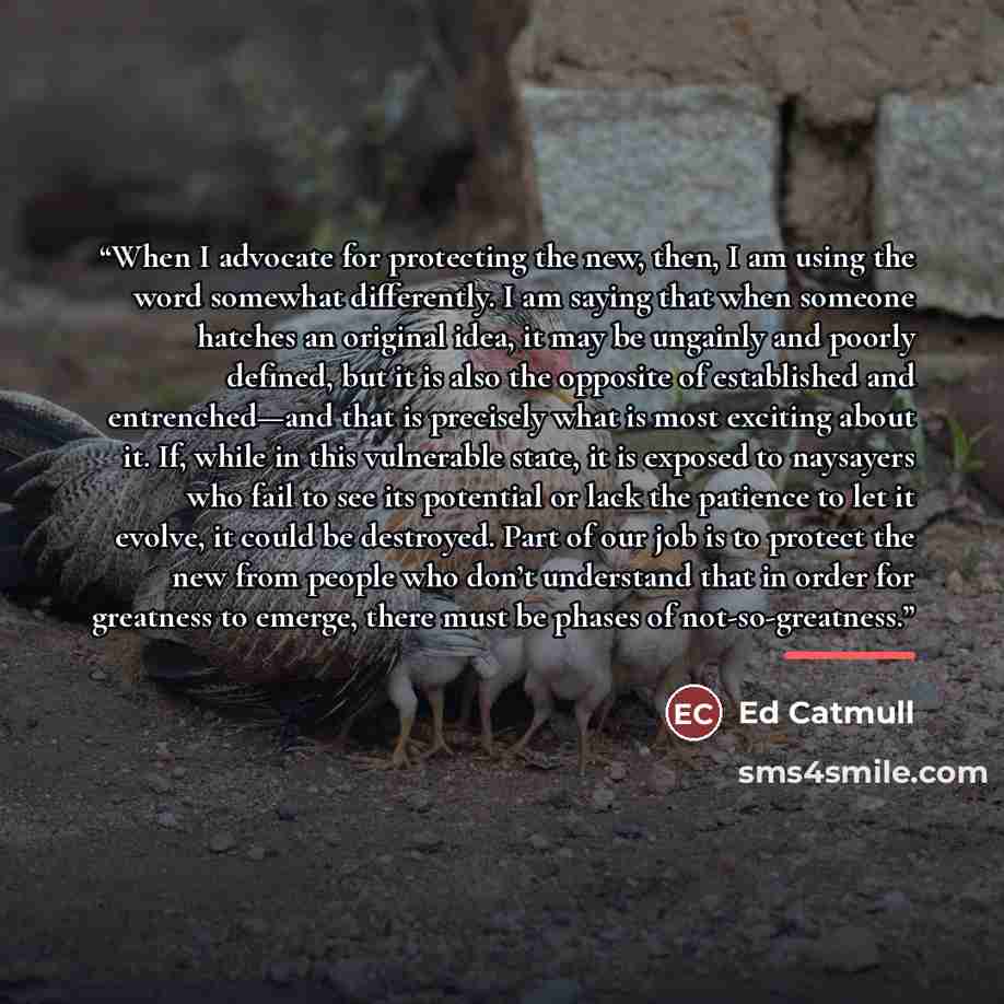 “When I advocate for protecting the new, then, I am using the word somewhat differently. I am saying that when someone hatches an original idea, it may be ungainly and poorly defined, but it is also the opposite of established and entrenched—and that is precisely what is most exciting about it. If…” quote by Ed Catmull