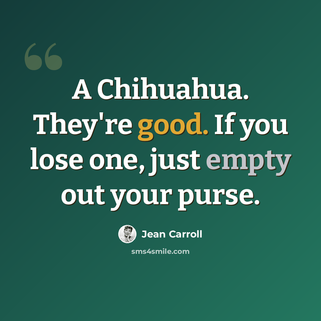“A Chihuahua. They're good. If you lose one, just empty out your purse.” quote by Jean Carroll