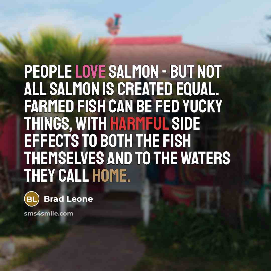 “People love salmon - but not all salmon is created equal. Farmed fish can be fed yucky things, with harmful side effects to both the fish themselves and to the waters they call home.” quote by Brad Leone